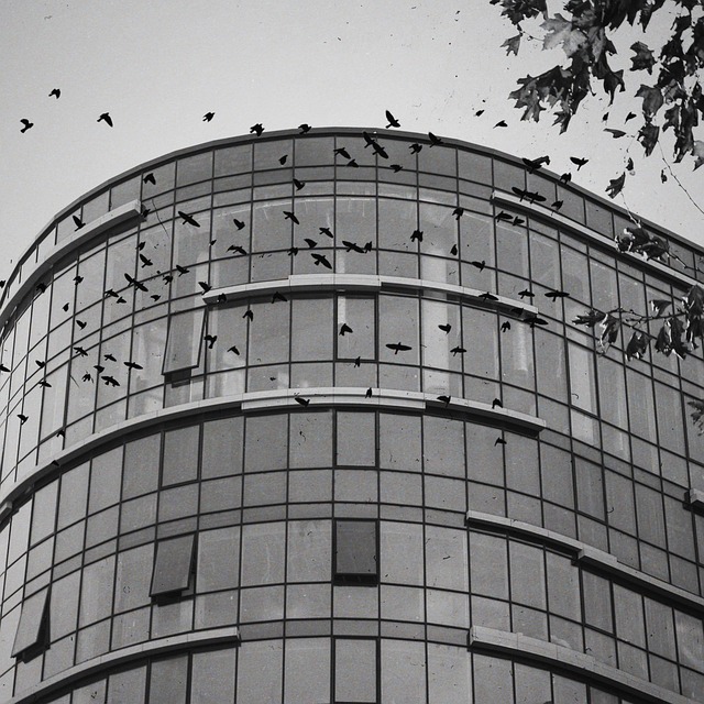 بانک سپه در بلوار جوزانی در تهران 4 بانک سپه در بلوار جوزانی در تهران